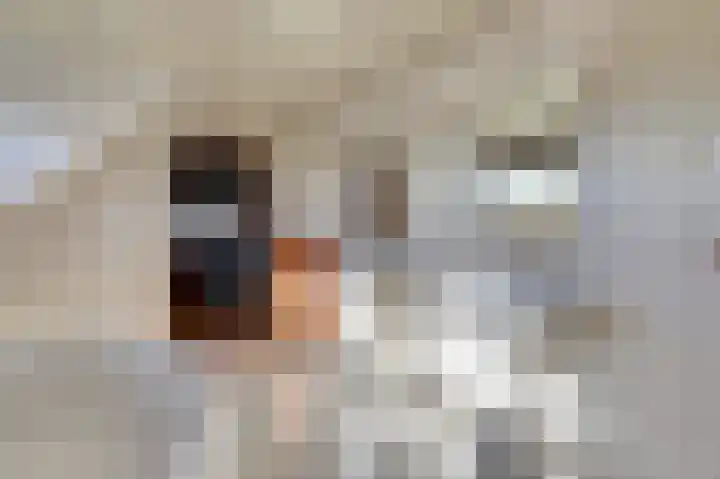 Bosveen 17 Ter Aar thumbnail 28