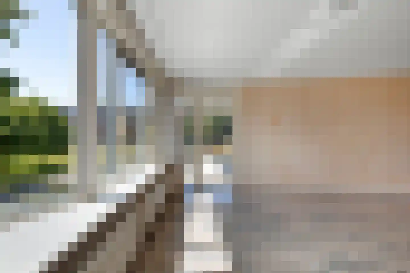 Bosveen 17 Ter Aar thumbnail 31