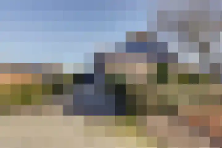 Bosveen 17 Ter Aar thumbnail 39