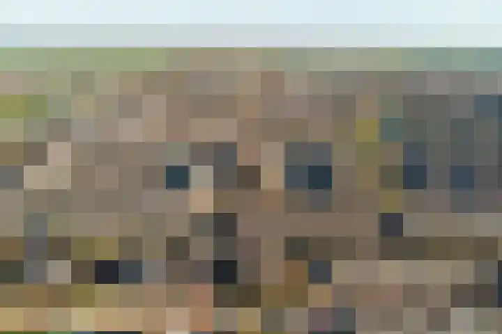 Bosveen 17 Ter Aar thumbnail 4