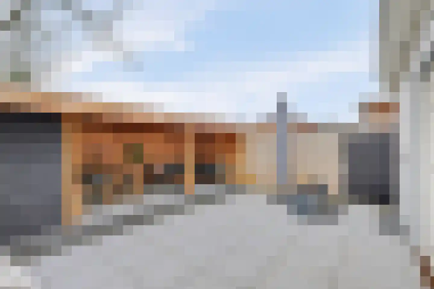 Bosveen 17 Ter Aar thumbnail 41