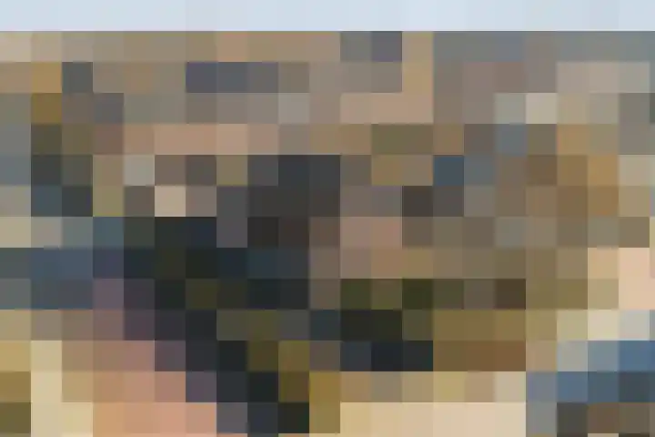 Bosveen 17 Ter Aar thumbnail 43