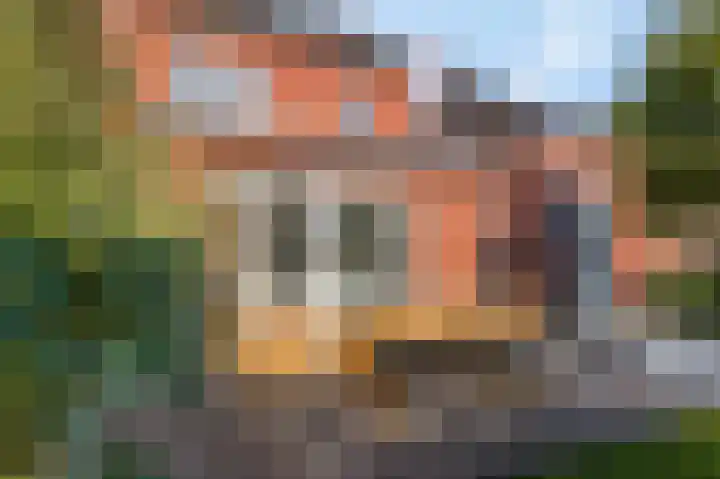 Bosveen 19 Ede thumbnail 42