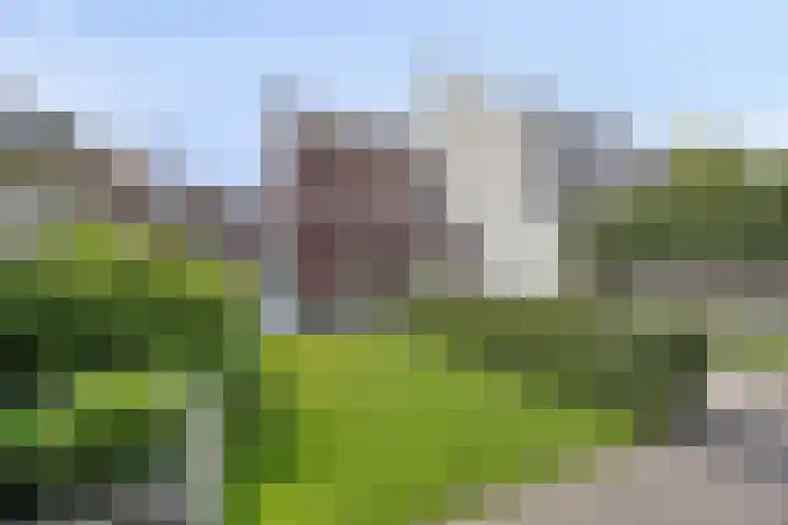 Bosveen 25 Ede thumbnail 20