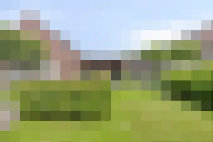 Bosveen 25 Ede thumbnail 4