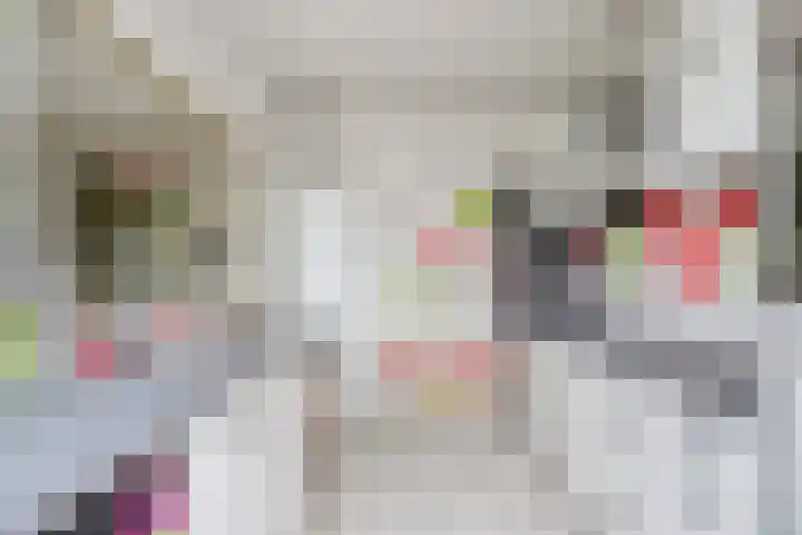 Bosveld 109 Uden thumbnail 12