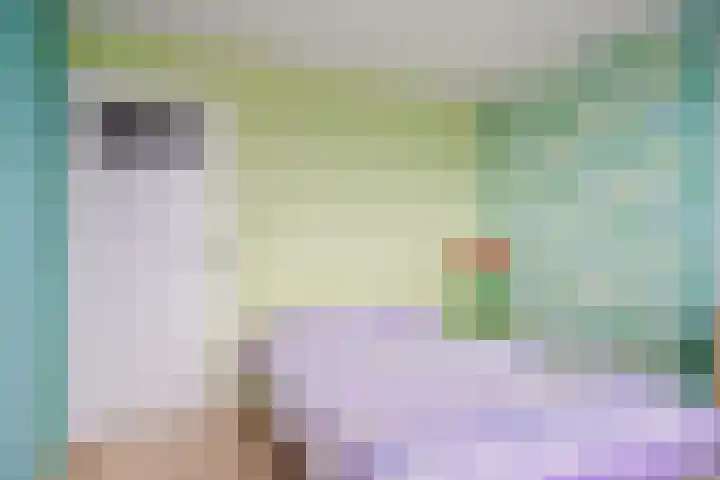 Bosveld 109 Uden thumbnail 14