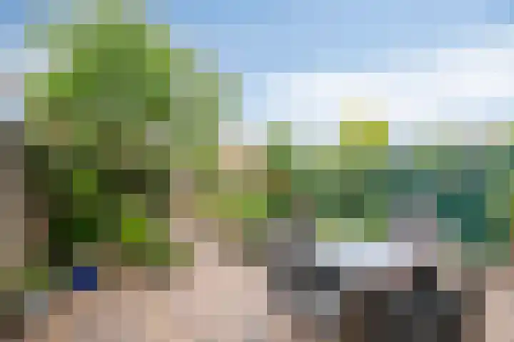 Bosveld 109 Uden thumbnail 27