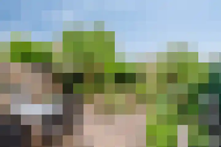 Bosveld 109 Uden thumbnail 28