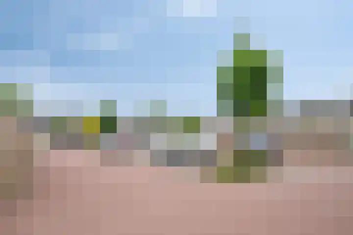 Bosveld 109 Uden thumbnail 31