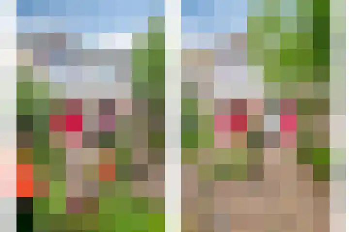 Bosveld 109 Uden thumbnail 32