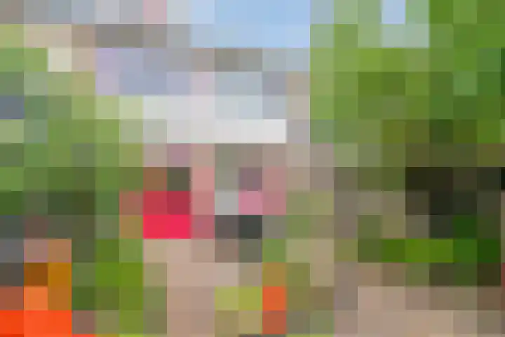 Bosveld 109 Uden thumbnail 33