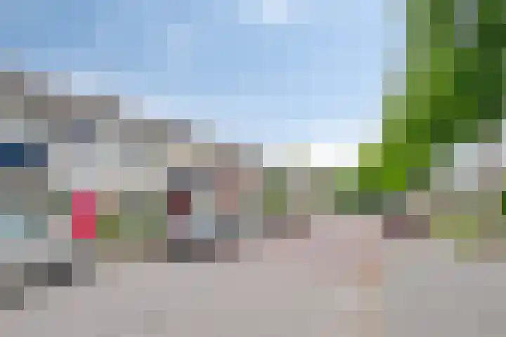 Bosveld 109 Uden thumbnail 35
