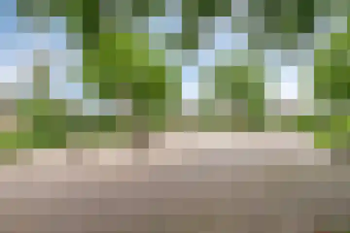 Bosveld 109 Uden thumbnail 36