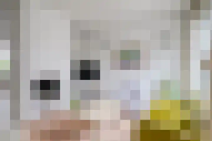 Bosveld 109 Uden thumbnail 4