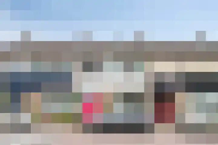 Bosveld 109 Uden thumbnail 41