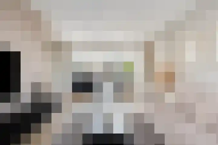 Bosveld 129 Uden thumbnail 11