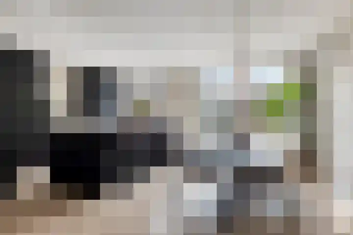Bosveld 129 Uden thumbnail 12