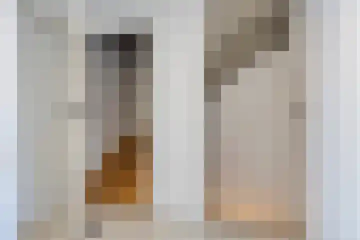 Bosveld 129 Uden thumbnail 17