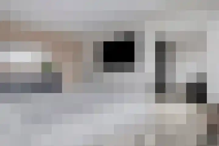 Bosveld 129 Uden thumbnail 19