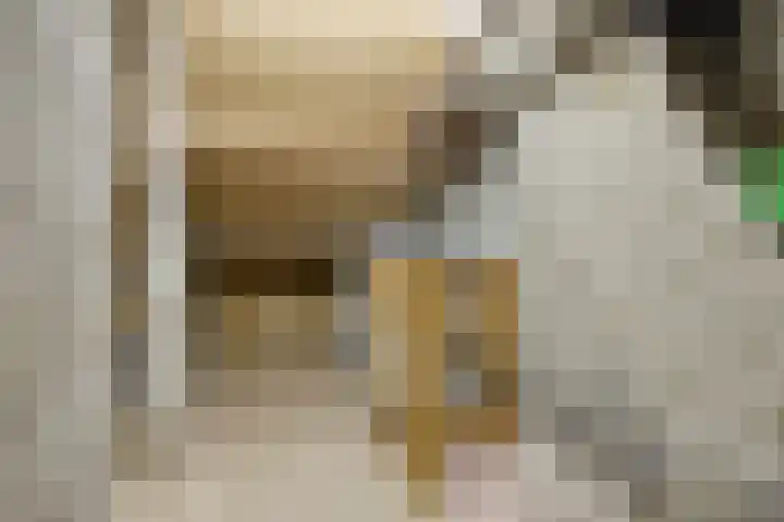 Bosveld 129 Uden thumbnail 26