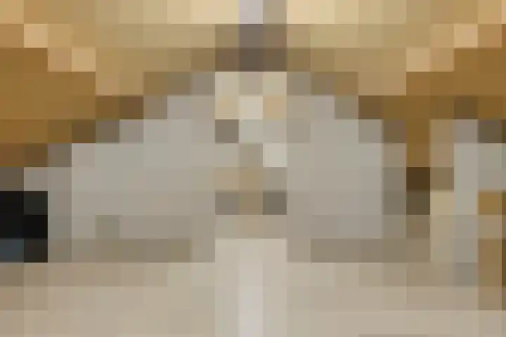 Bosveld 129 Uden thumbnail 28