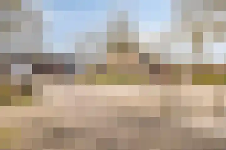 Bosveld 129 Uden thumbnail 36