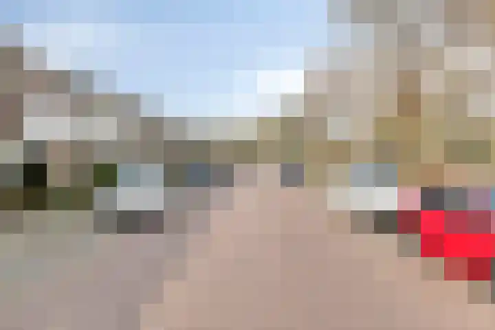 Bosveld 129 Uden thumbnail 37