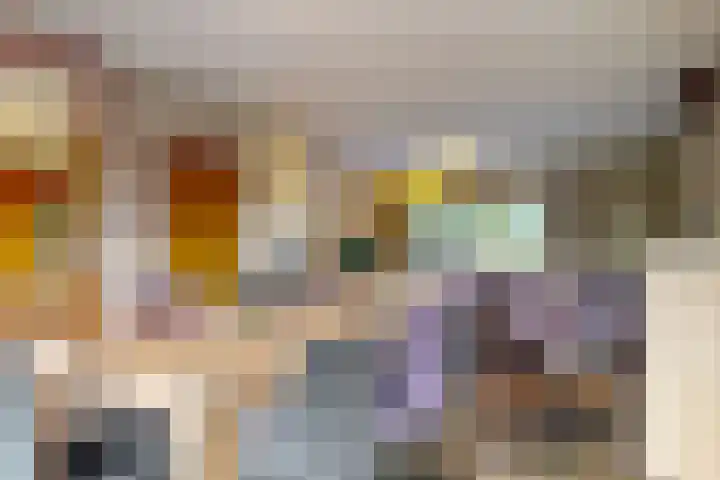 Bosveld 21 Beegden thumbnail 17