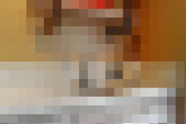 Bosveld 21 Beegden thumbnail 19