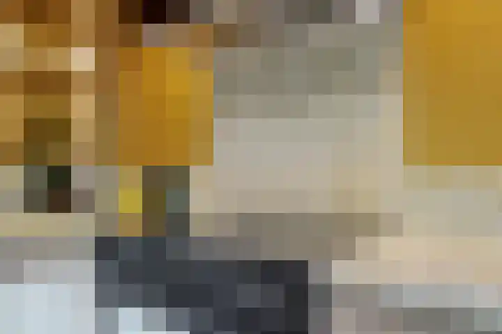 Bosveld 21 Beegden thumbnail 20