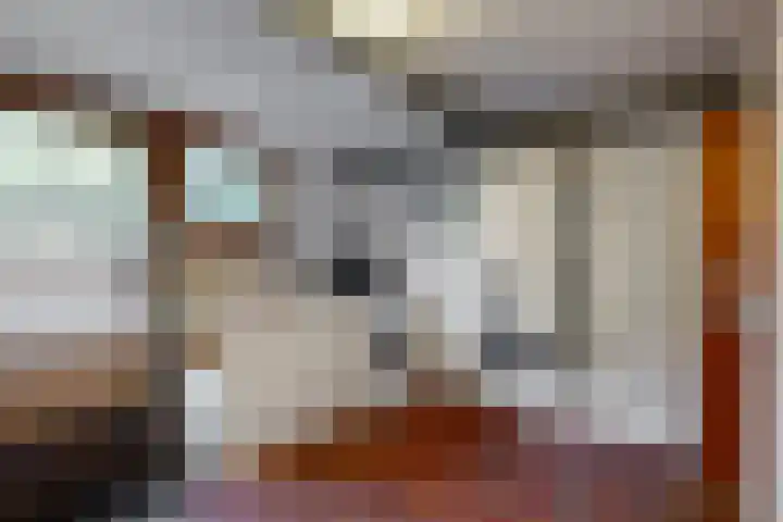 Bosveld 21 Beegden thumbnail 22