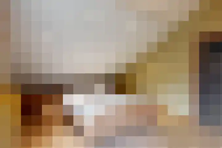 Bosveld 21 Beegden thumbnail 32