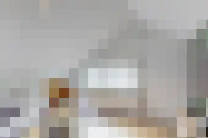 Bosveld 21 Beegden thumbnail 35
