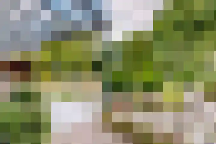 Bosveld 21 Beegden thumbnail 4