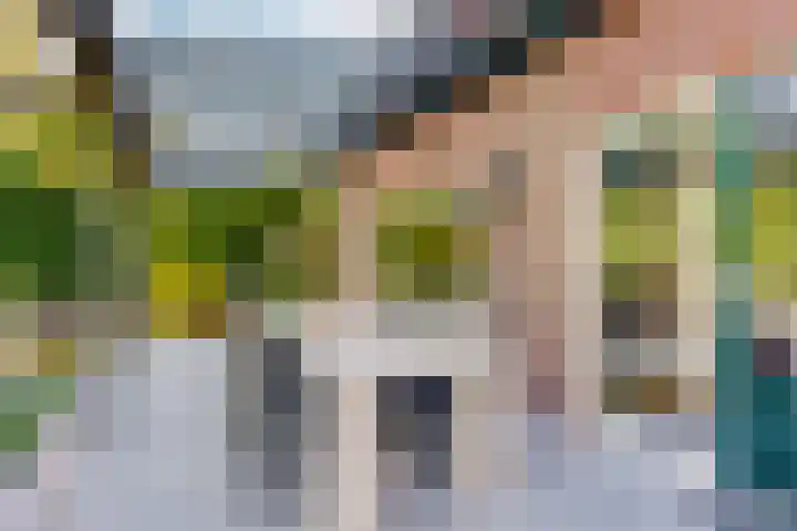 Bosveld 21 Beegden thumbnail 7