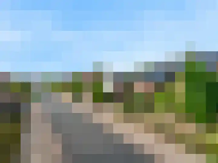 Bosveld 21 Beegden thumbnail 9