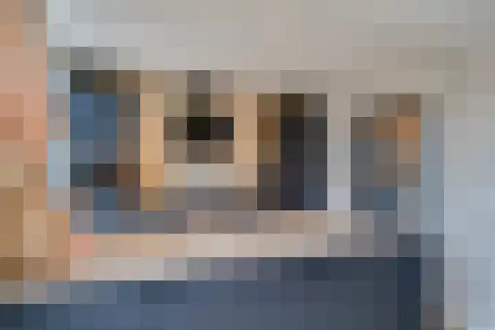 Bosveld 405 Uden thumbnail 13