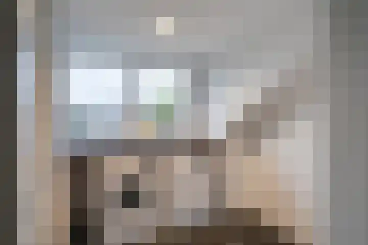 Bosveld 405 Uden thumbnail 22