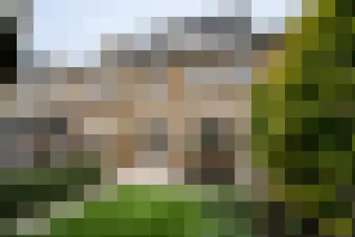 Bosveld 405 Uden thumbnail 23