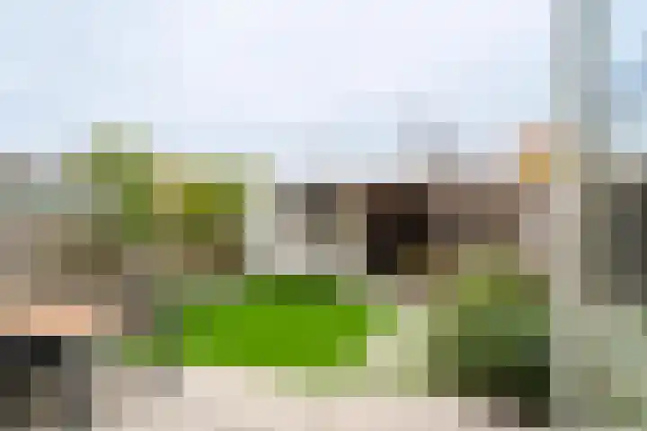 Bosveld 405 Uden thumbnail 24