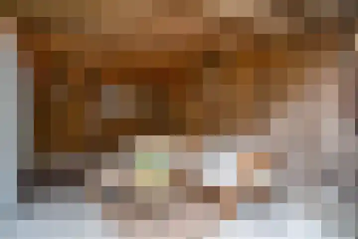 Bosveld 405 Uden thumbnail 26
