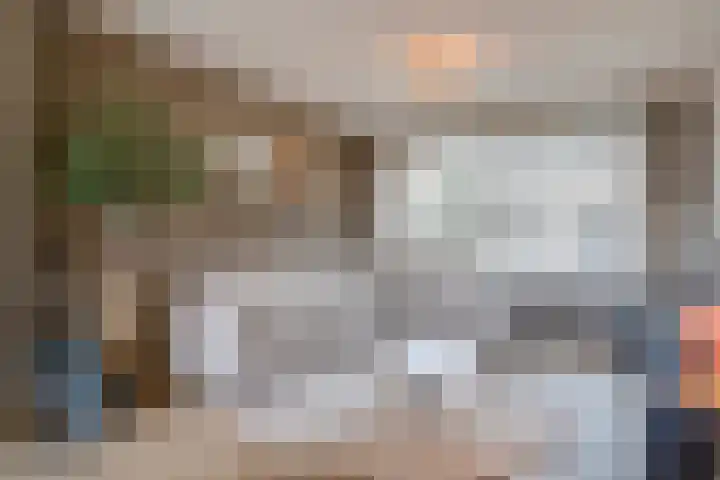 Bosveld 405 Uden thumbnail 8