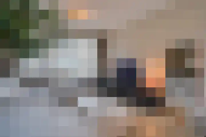 Bosveld 405 Uden thumbnail 9
