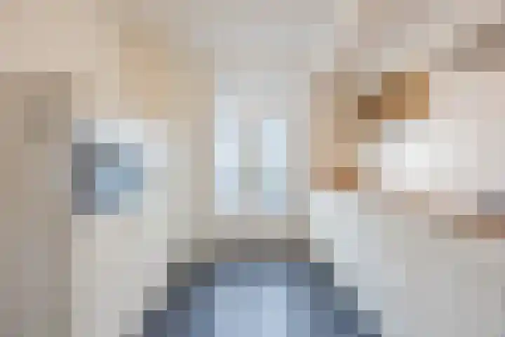 Bosveld 424 Uden thumbnail 10