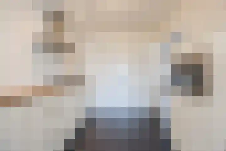 Bosveld 424 Uden thumbnail 11