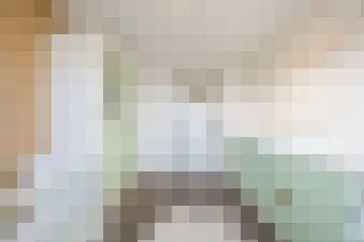 Bosveld 424 Uden thumbnail 21