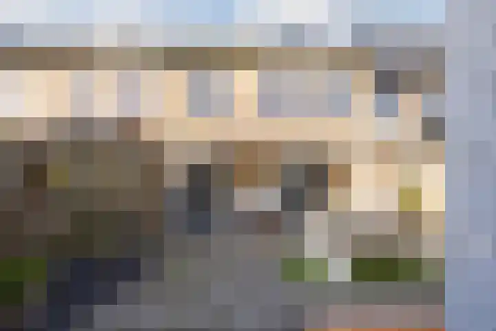 Bosveld 424 Uden thumbnail 27