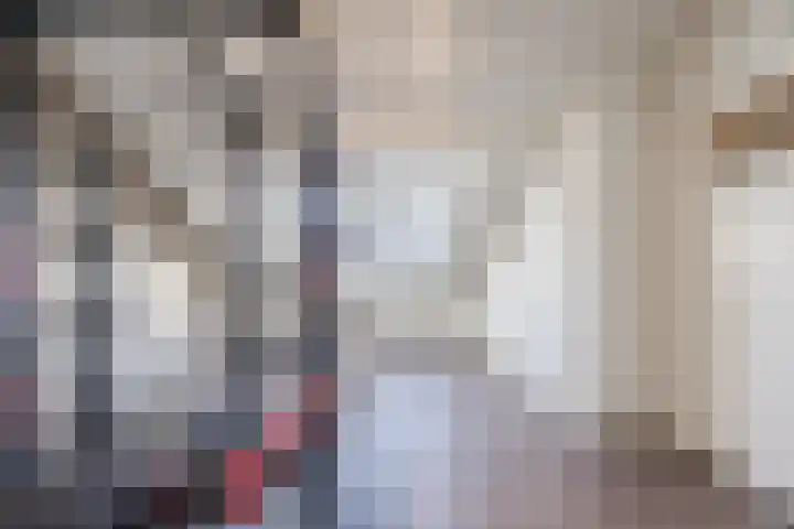 Bosveld 424 Uden thumbnail 30