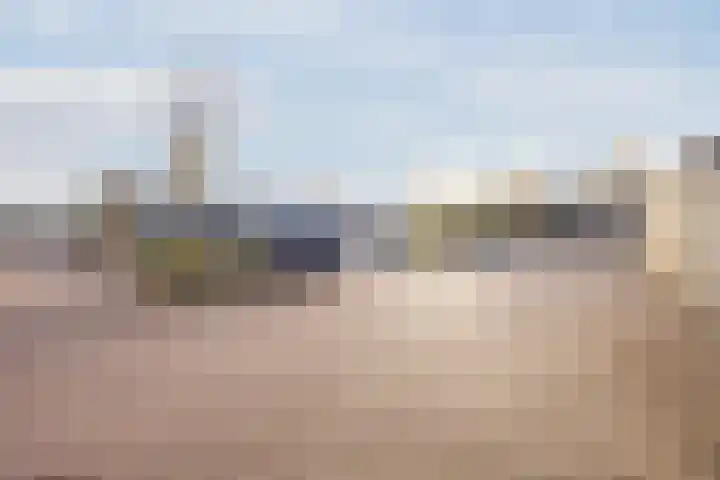 Bosveld 424 Uden thumbnail 39